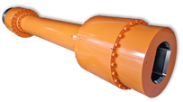 Allunghe a Denti